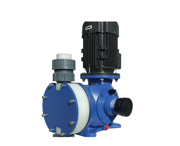 SEKO是什么公司？